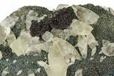 Sphalerite Flowers & Twinned Calcite On Marcasite - Missouri #96387-2